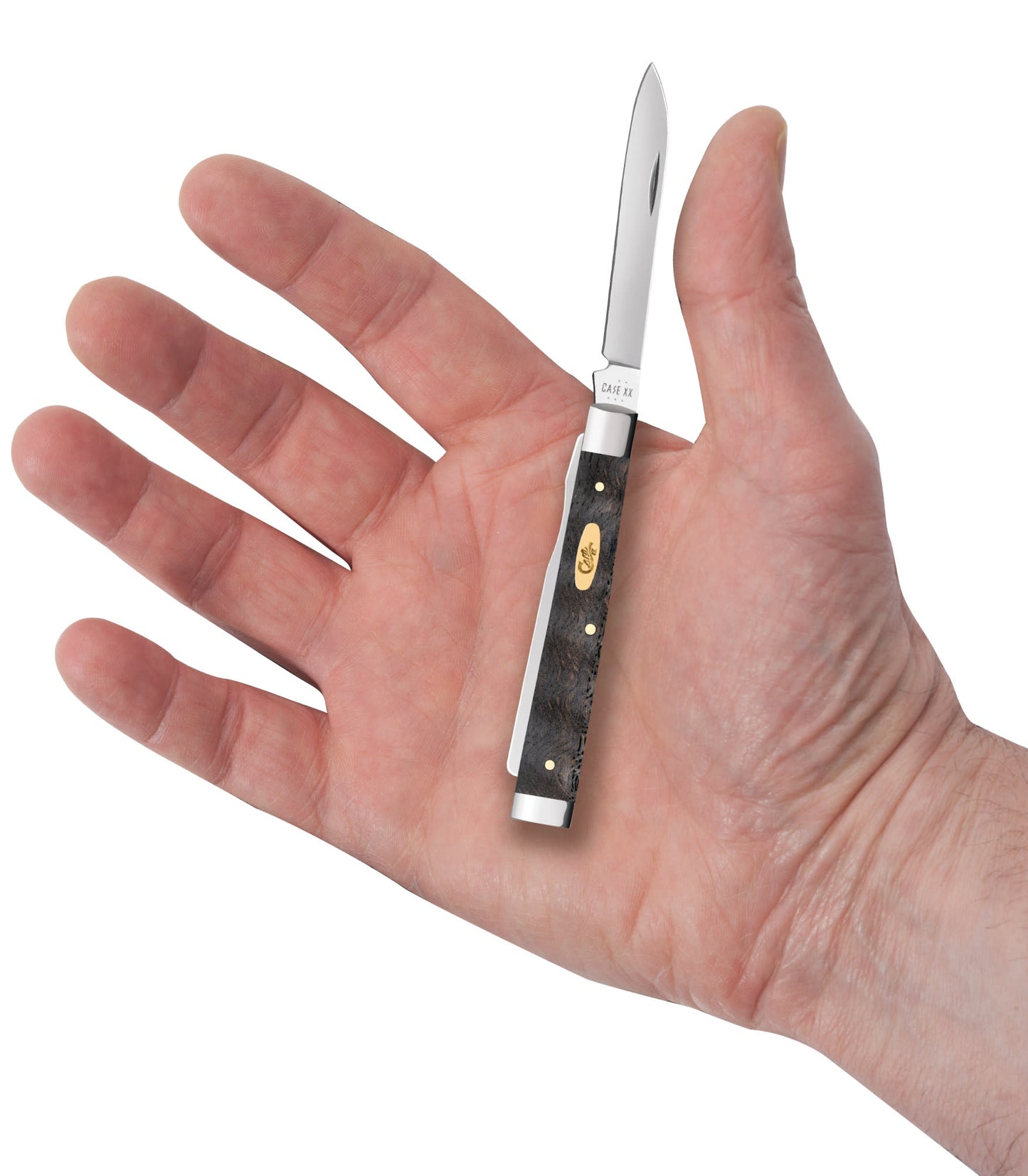 Smooth Black Curly Oak Wood Baby Doc in hand.