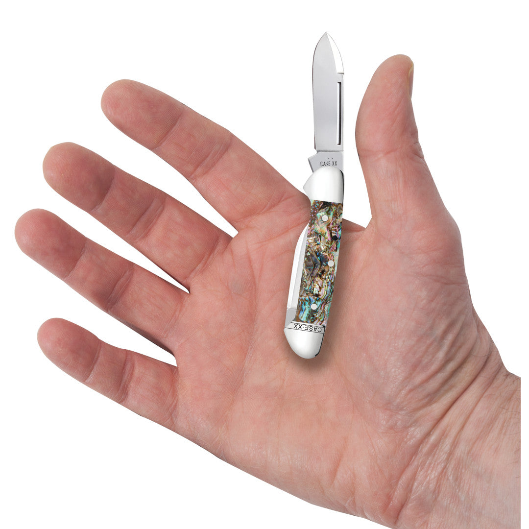 Smooth Abalone Baby Butterbean in Hand