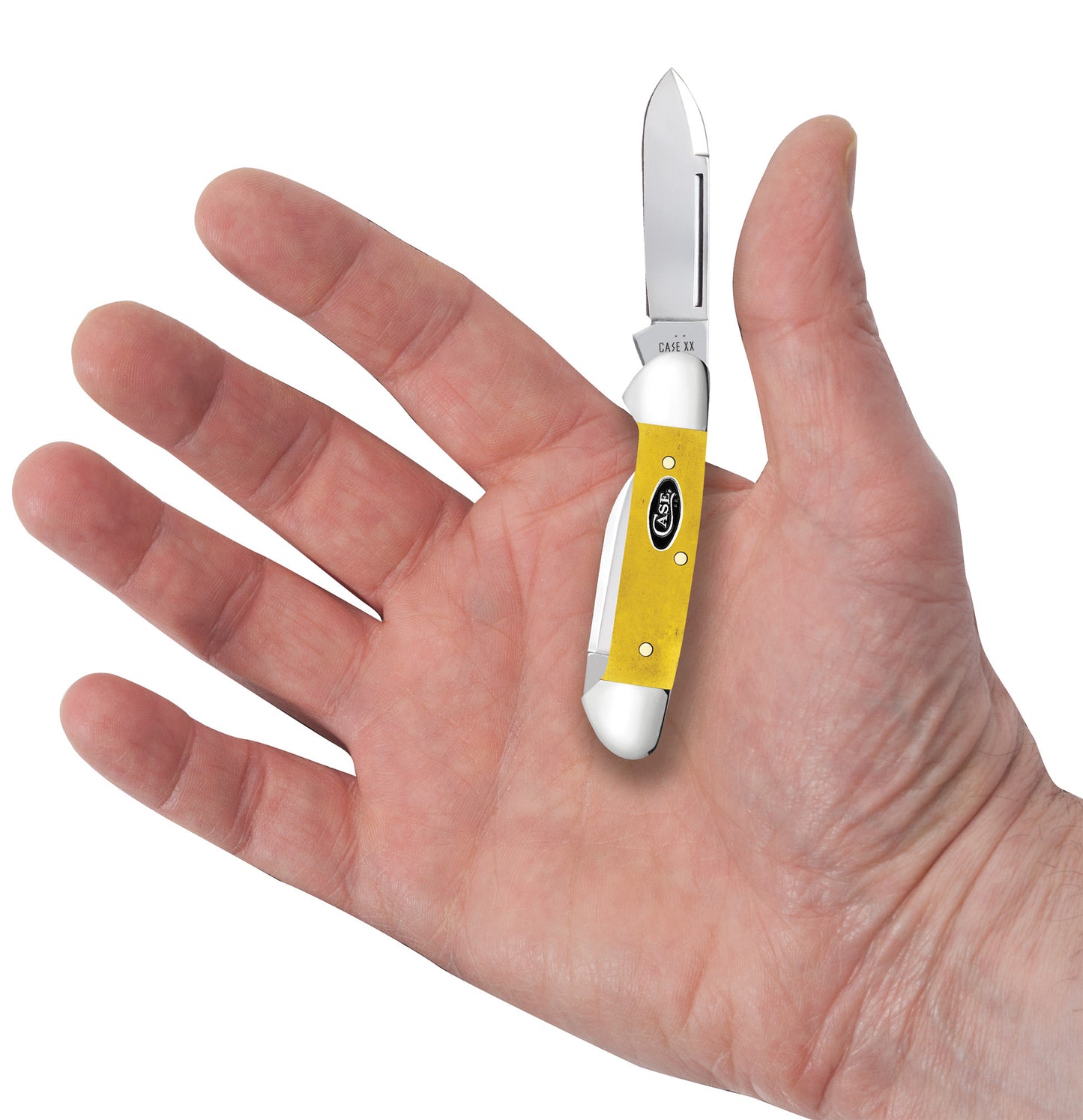 Smooth Yellow Bone Baby Butterbean in hand.