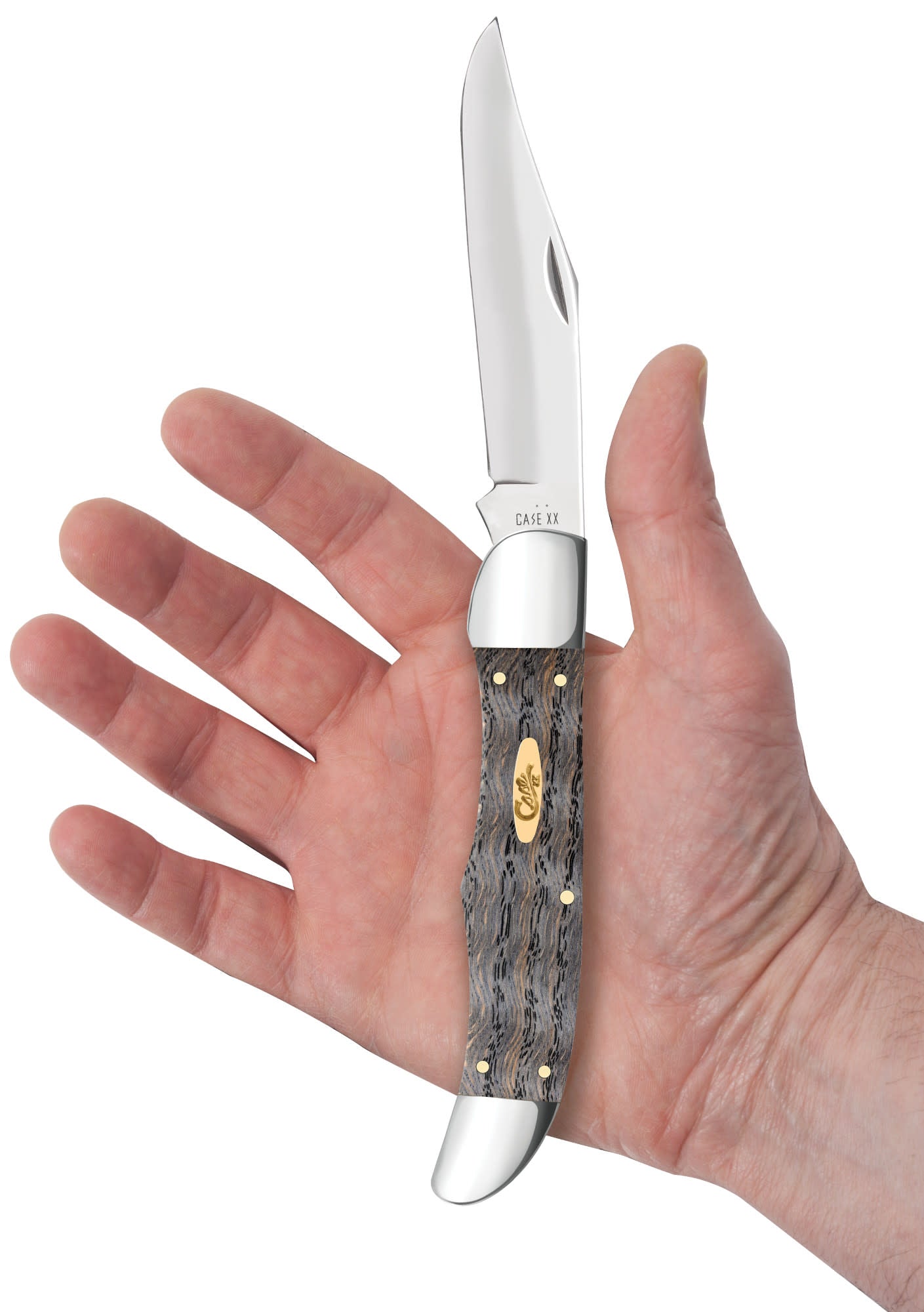 Smooth Black Curly Oak Wood Folding Hunter in hand.