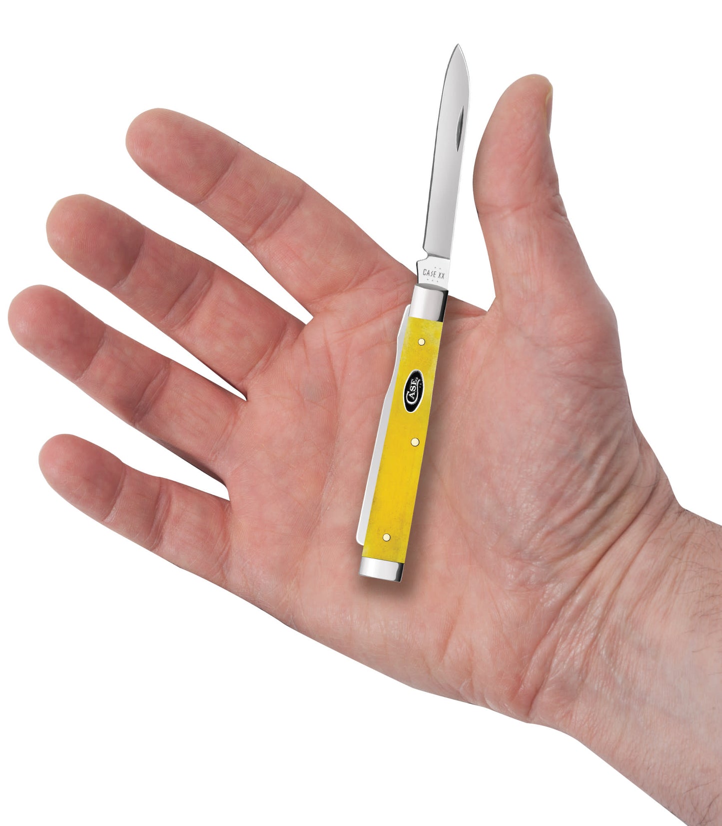 Smooth Yellow Bone Baby Doc in hand.