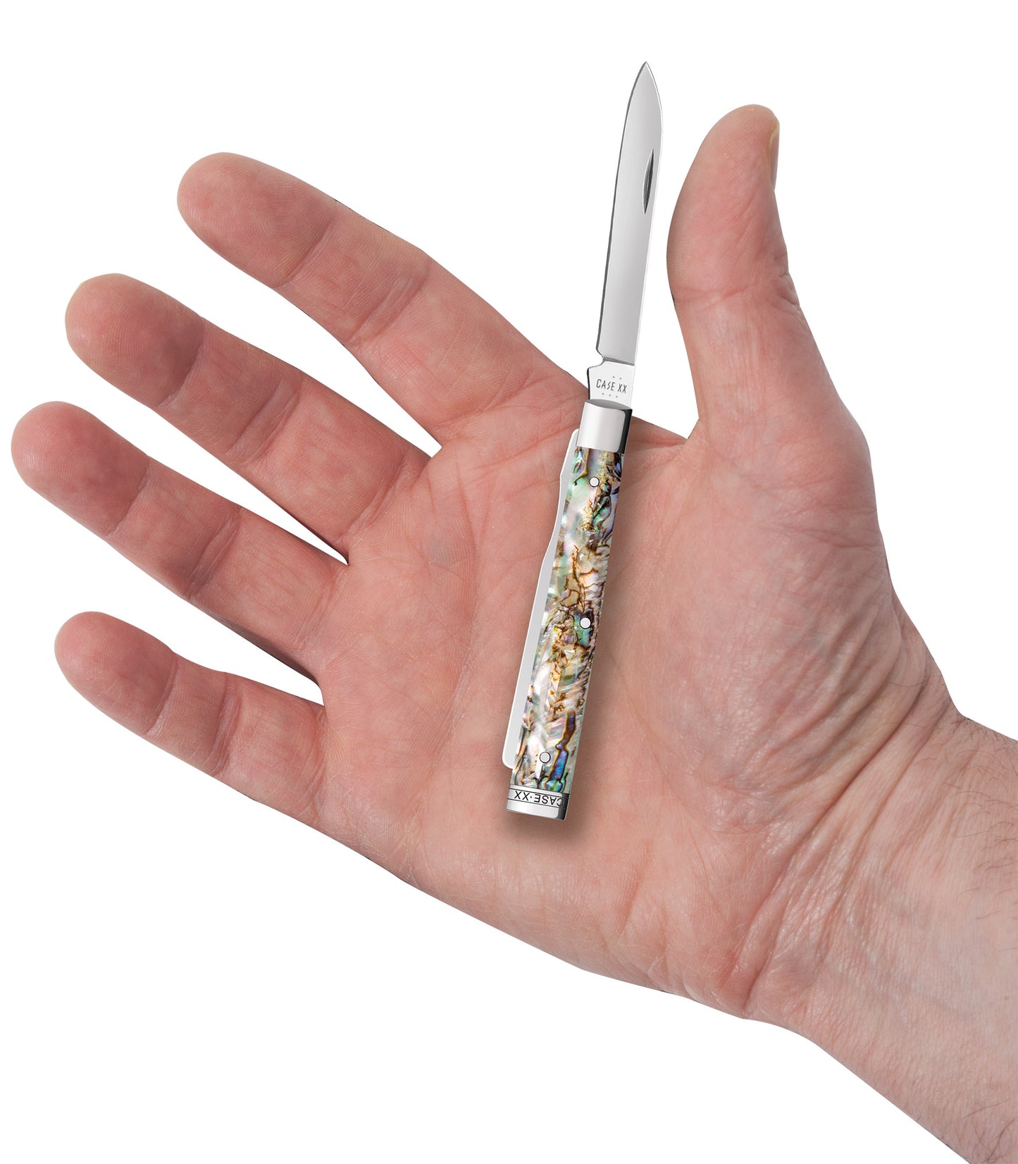 Smooth Abalone Baby Doc with Velvet Box in hand.