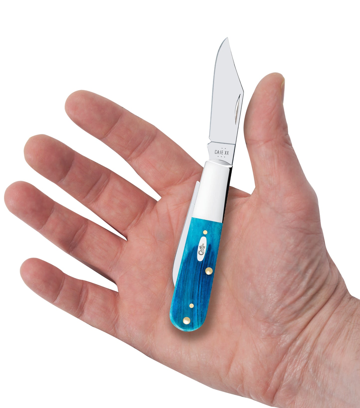 Sawcut Jig Caribbean Blue Bone Barlow in hand.