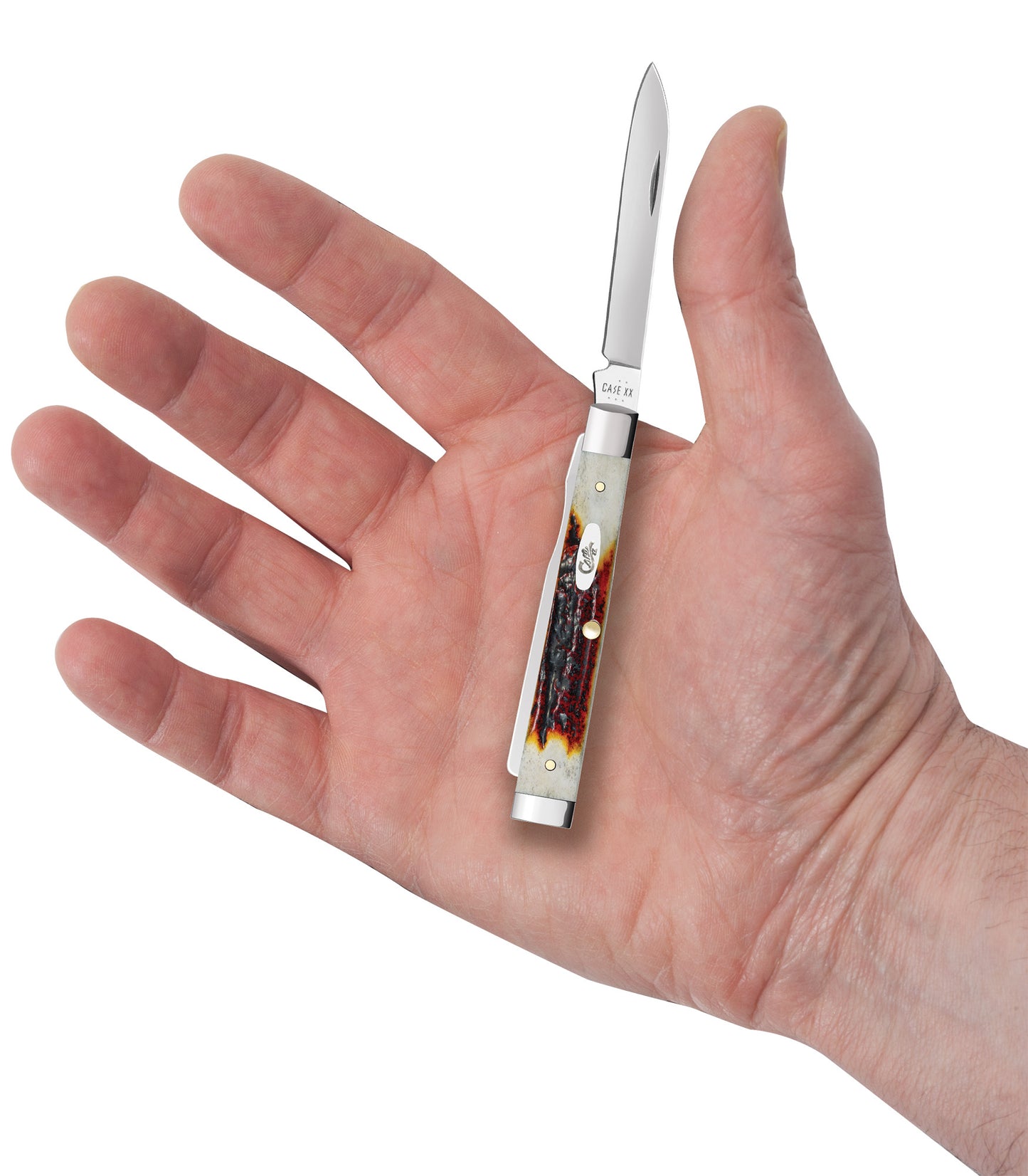 Red Stag Baby Doc in hand.