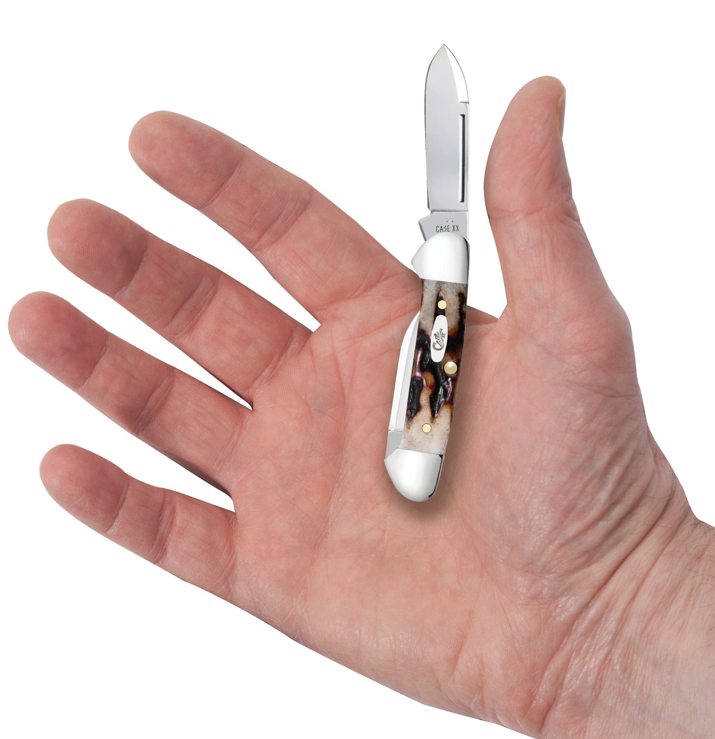 Red Stag Baby Butterbean in hand.