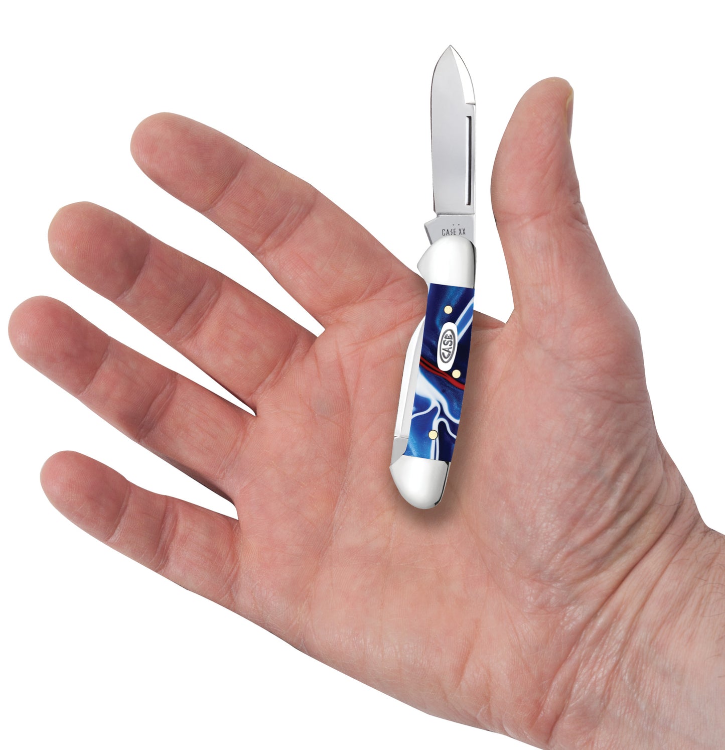 Smooth Patriotic Kirinite® Baby Butterbean in hand.