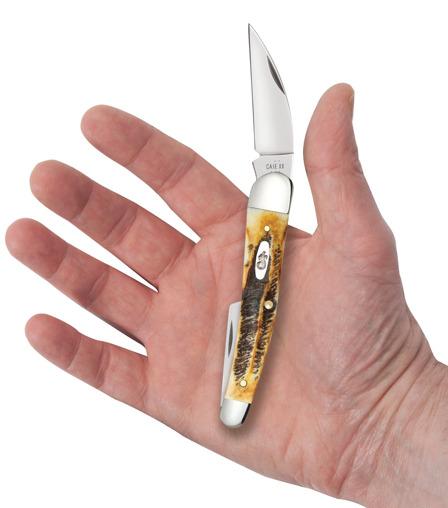 Case 6.5 BoneStag Seahorse Whittler in hand.