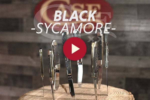 A Slice of Case: Black Sycamore Family
