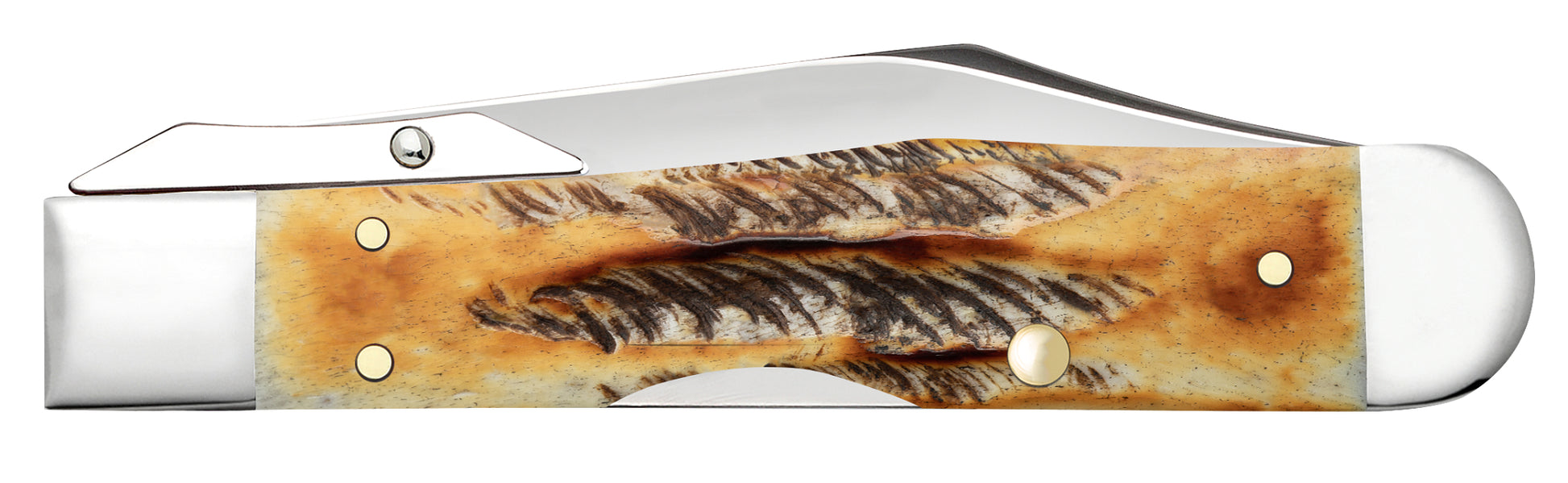 Vault - Burnt 6.5 BoneStag® Cheetah® Cub Closed