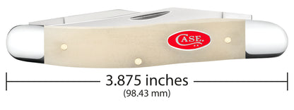 Smooth Natural Bone Muskrat Dimensions