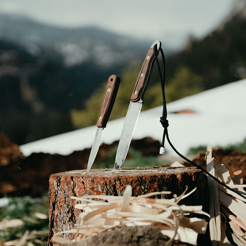 Two Case knives inserted into a tree trunk with mountains in the background. 