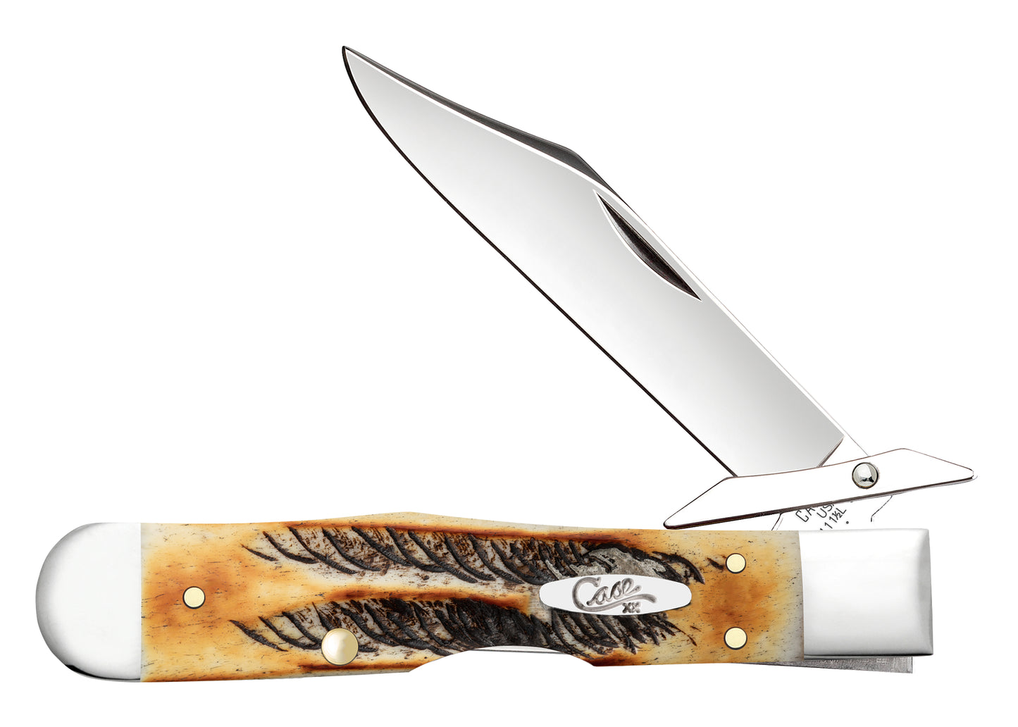Vault - Burnt 6.5 BoneStag® Cheetah® Cub Front View