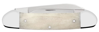 Harley Davidson® Embellished Smooth Natural Bone Canoe Closed