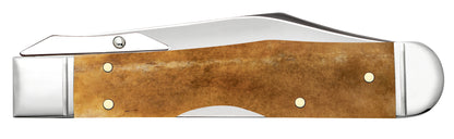 Vault - Smooth Antique Bone Cheetah® Cub Dimensions