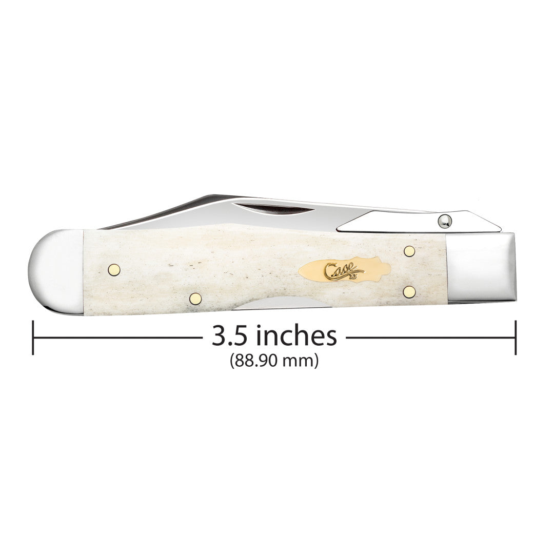 Smooth Natural Bone Cheetah® Cub - Brass Bomb Shield Dimensions