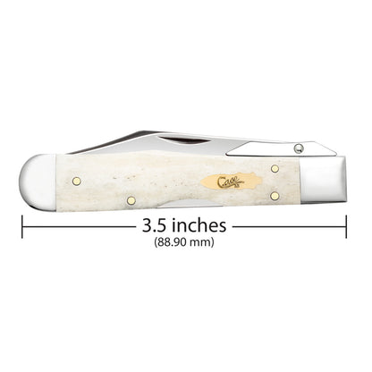 Smooth Natural Bone Cheetah® Cub - Brass Bomb Shield Dimensions