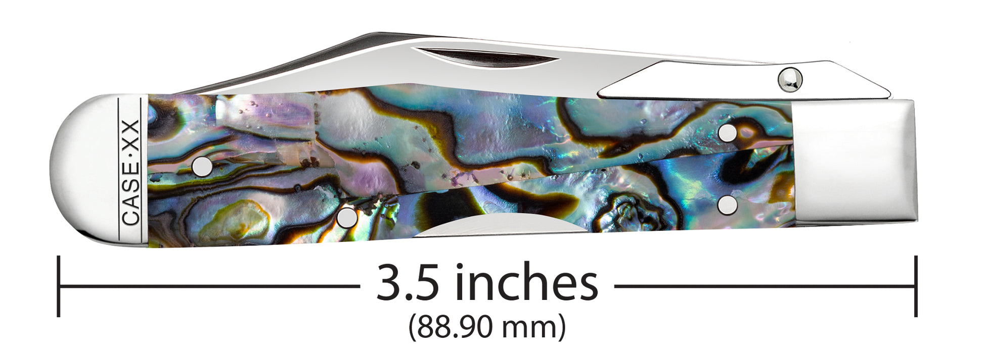 Smooth Abalone Cheetah® Cub Dimensions