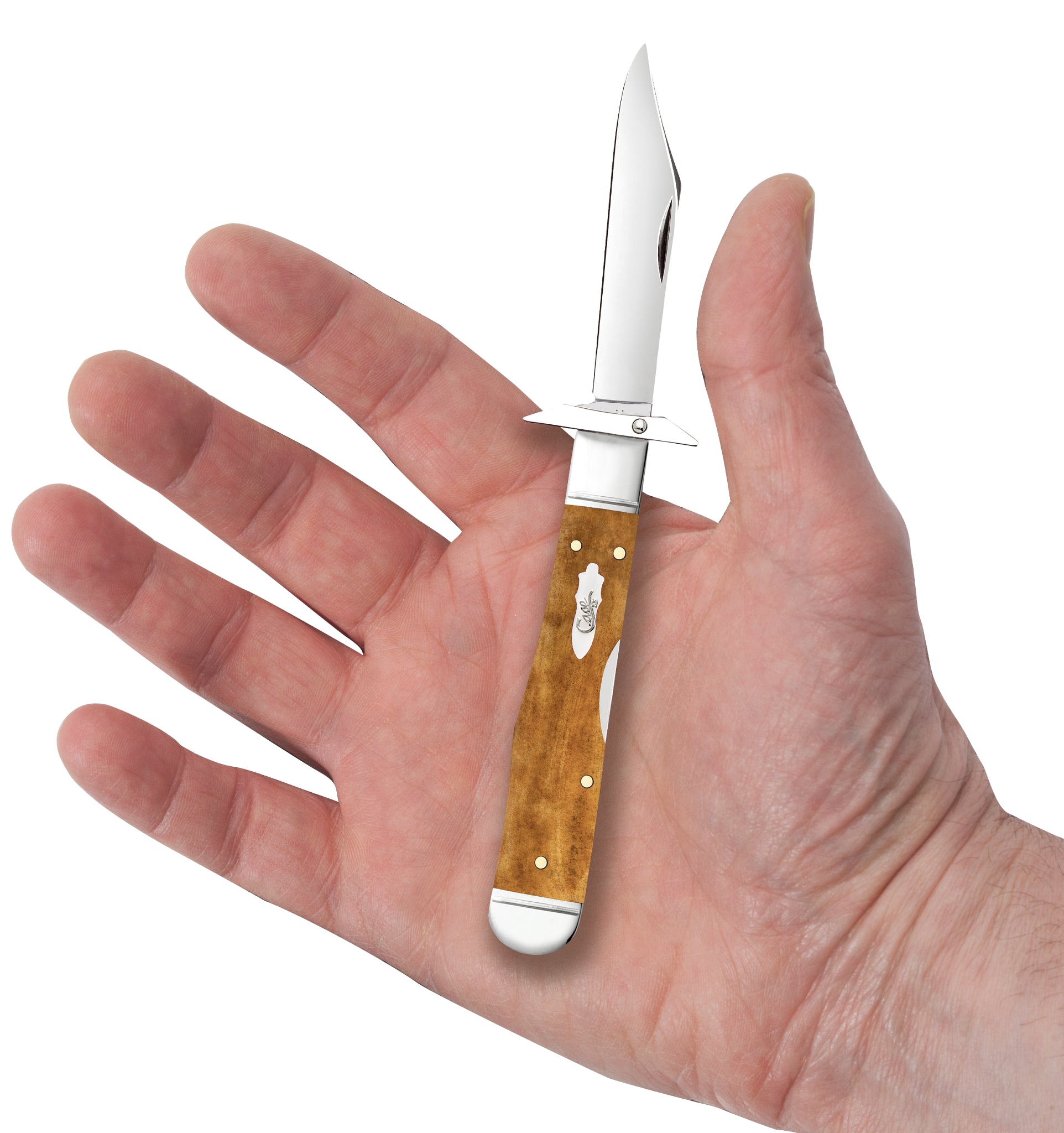 Vault - Smooth Antique Bone Cheetah® Cub Open