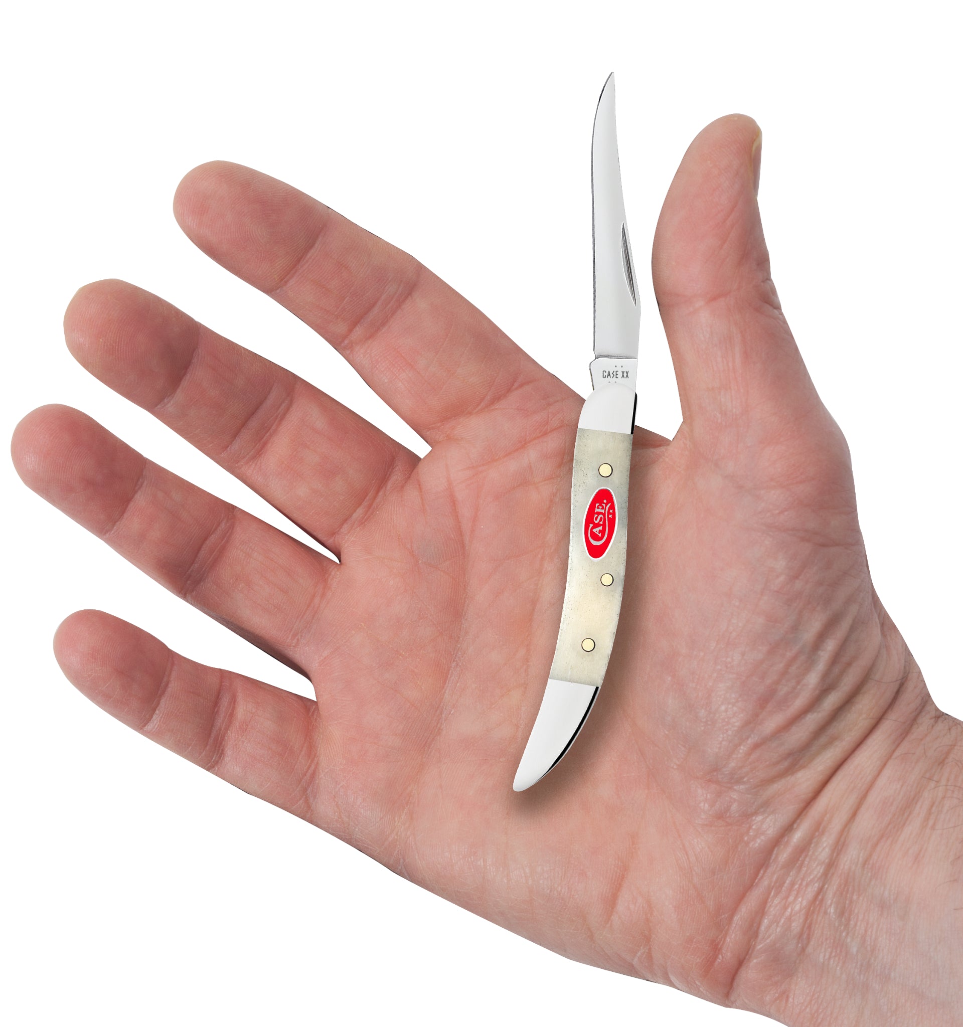 Smooth Natural Bone Small Texas Toothpick in Hand