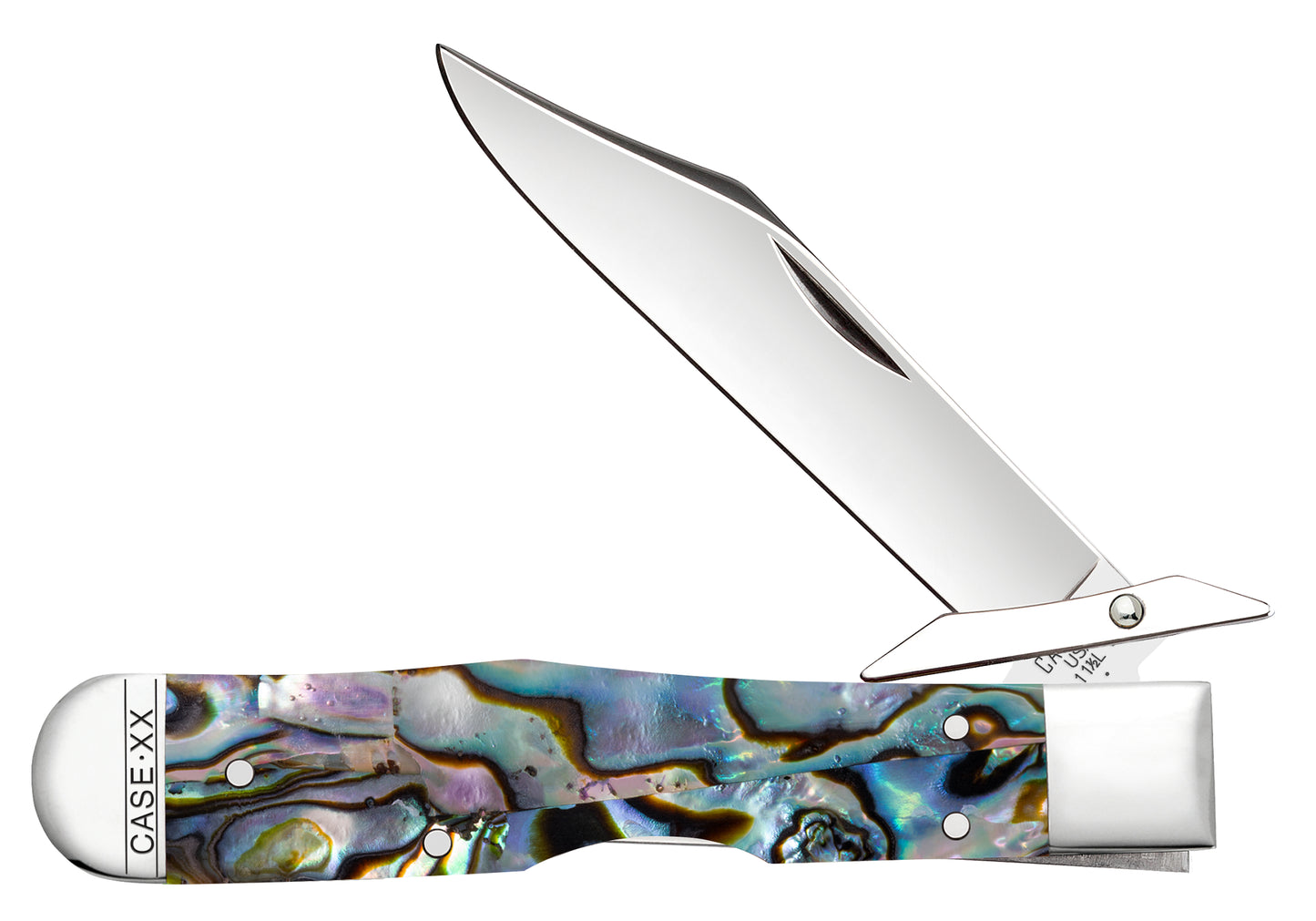 Smooth Abalone Cheetah® Cub Front View