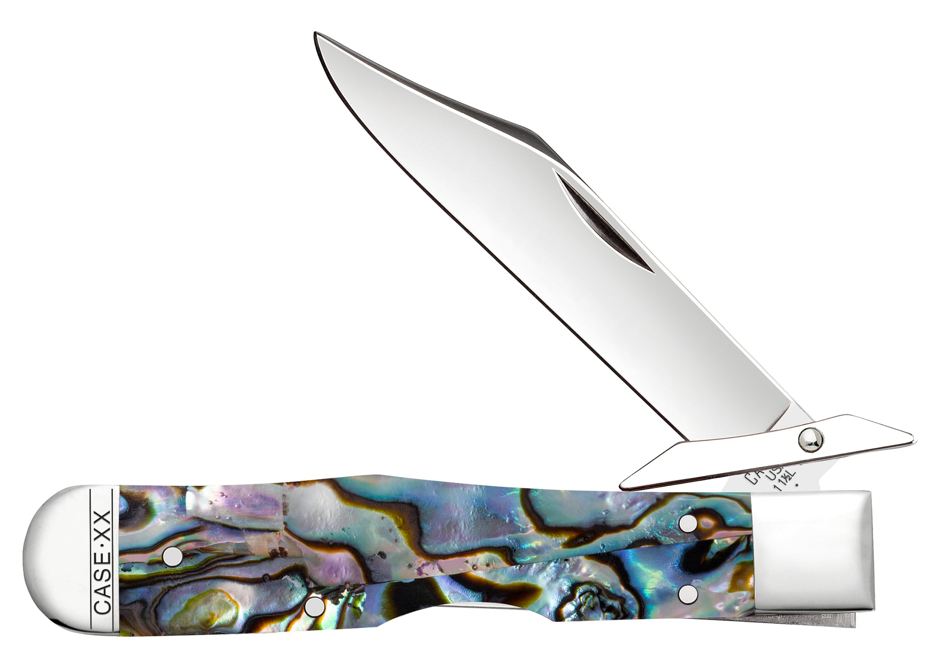 Smooth Abalone Cheetah® Cub Front View