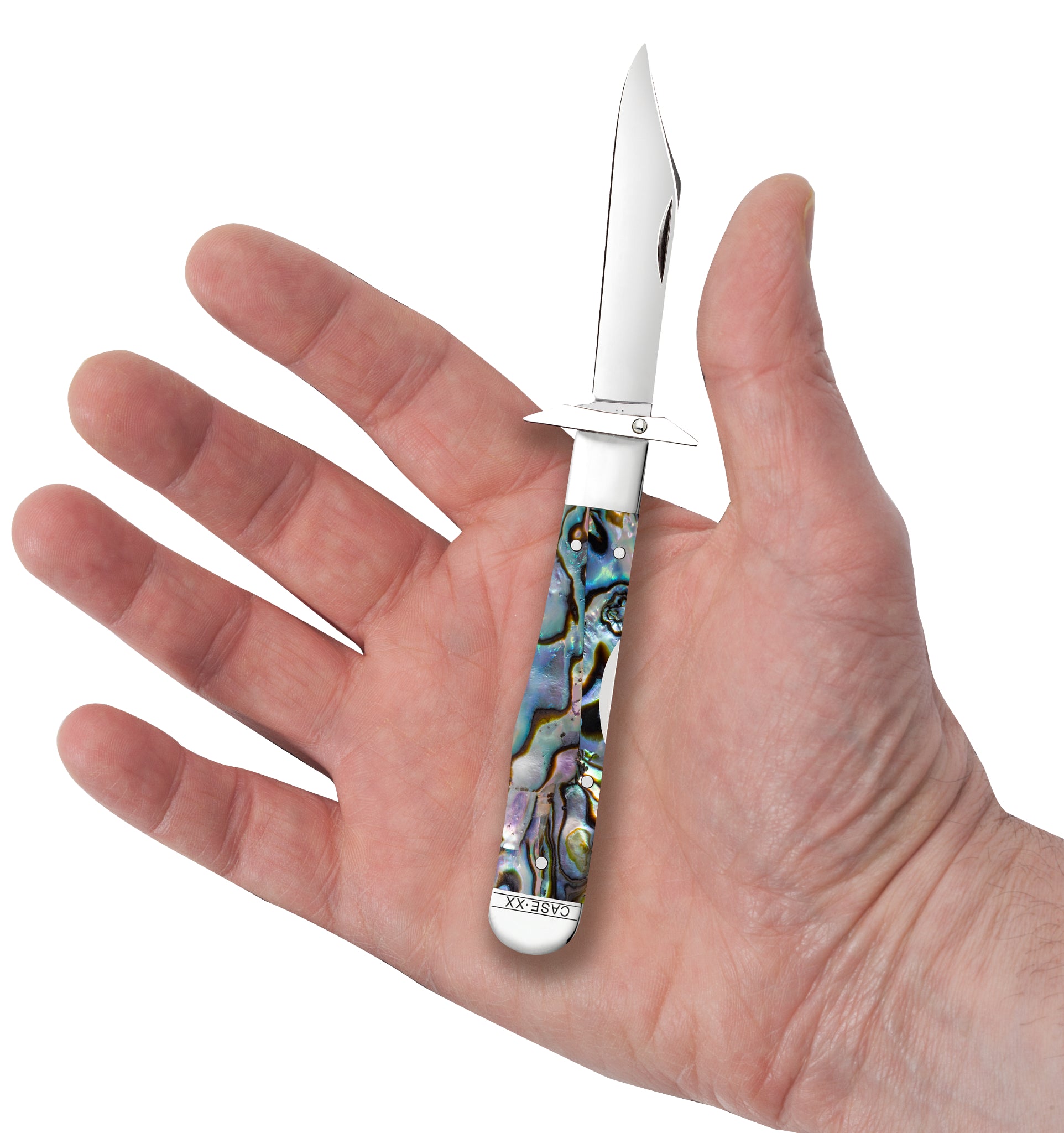 Smooth Abalone Cheetah® Cub in Hand