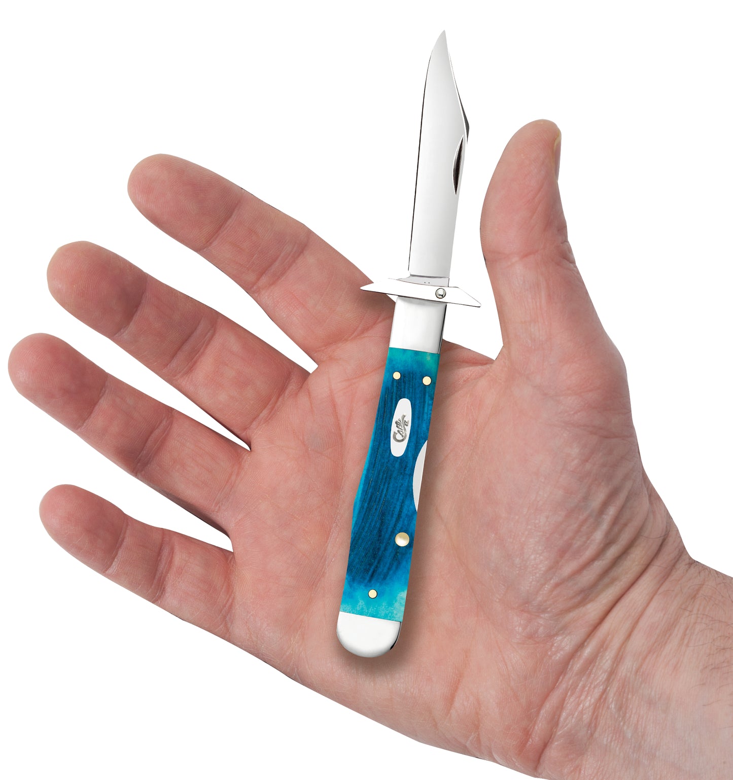 Sawcut Jigged Caribbean Blue Bone Cheetah® Cub in Hand