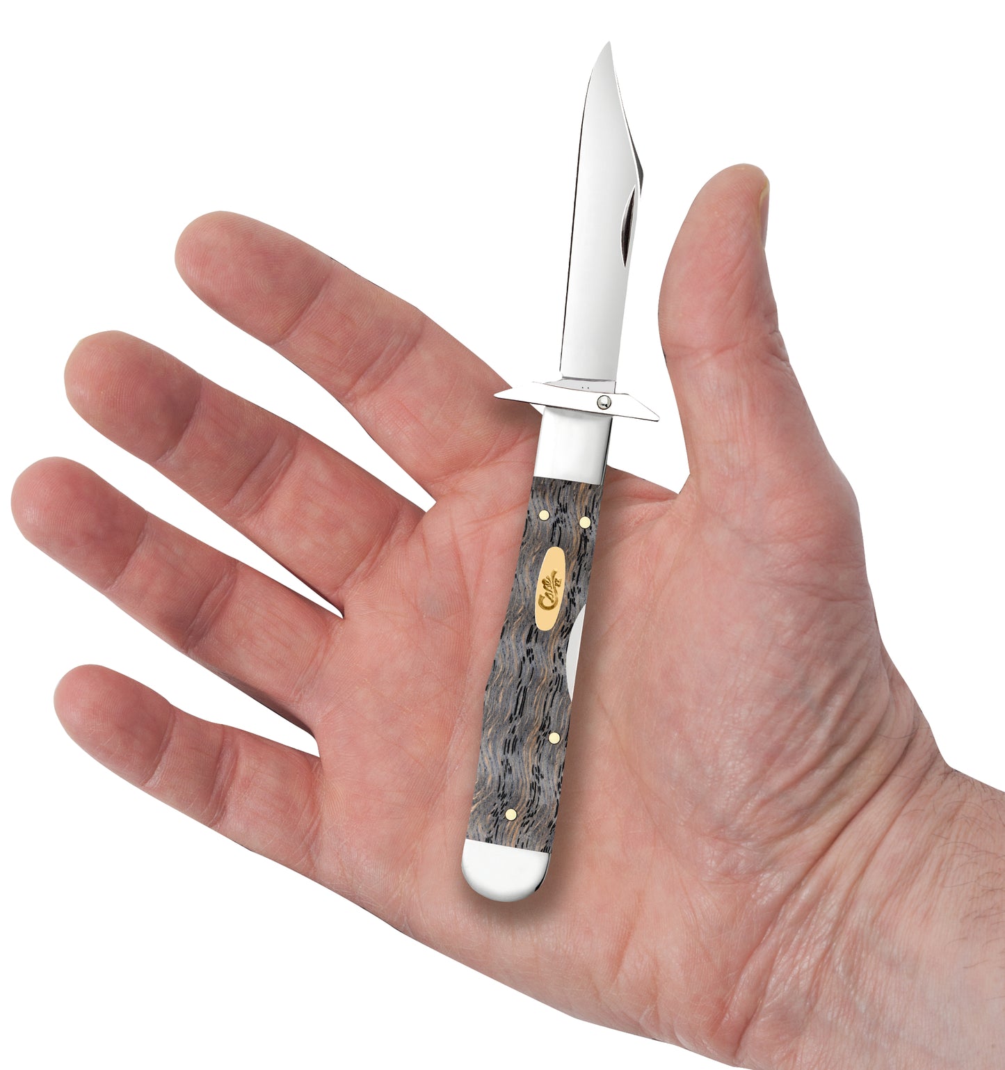 Smooth Black Curly Oak Wood Cheetah® Cub in Hand