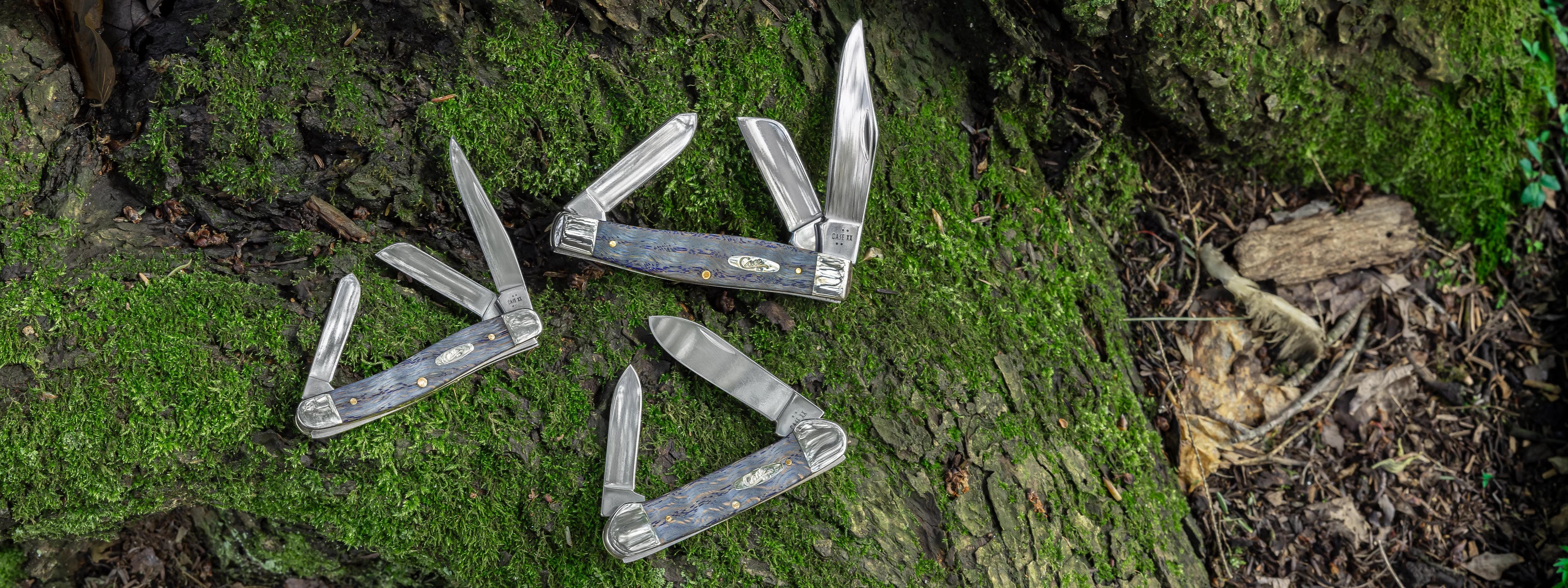 Three Blue Curly Oak Wood Case knives on a green, mossy surface.