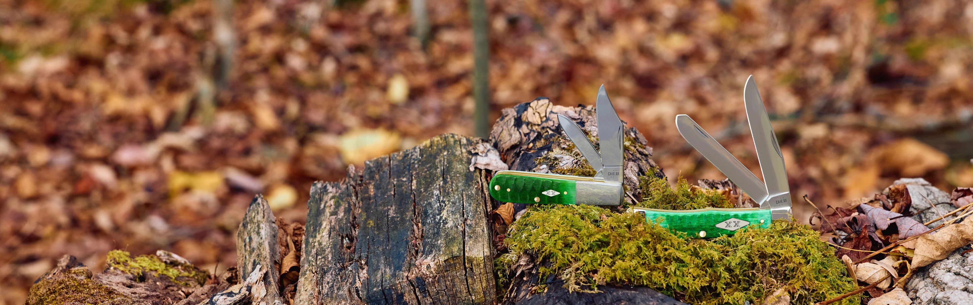 Case knife on a mossy log with a forest floor background