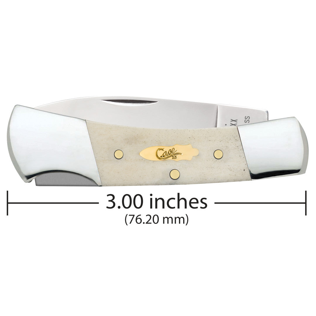 Smooth Natural Bone Lockback - Brass Bomb Shield Dimensions