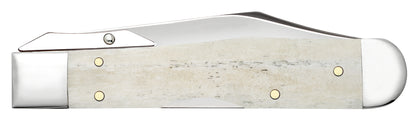 Smooth Natural Bone Cheetah® Cub Closed