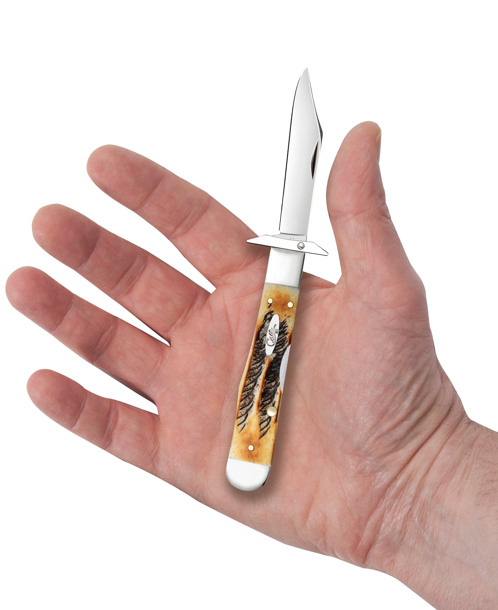 Case® | 6.5 BoneStag® Cheetah® Cub – caseknives.com
