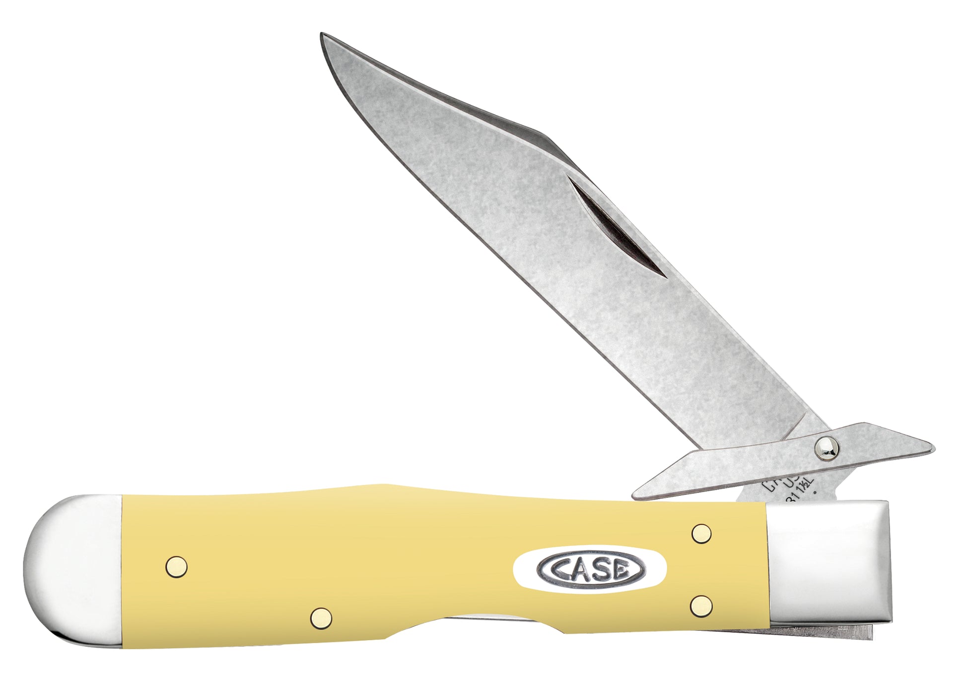 Vault - Smooth Yellow Synthetic Cheetah® Cub Front View
