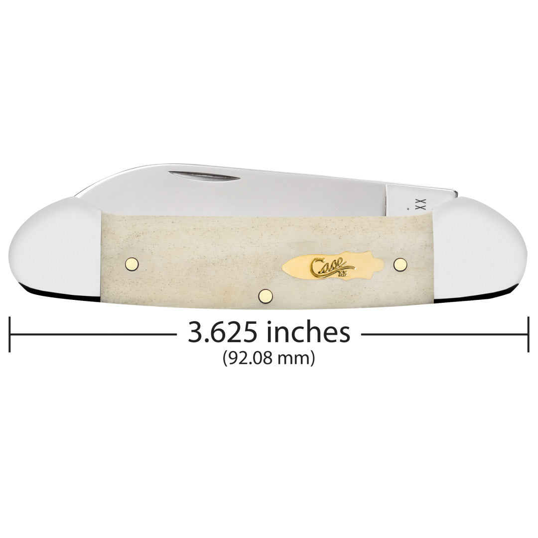 Smooth Natural Bone Canoe - Brass Bomb Shield Dimensions