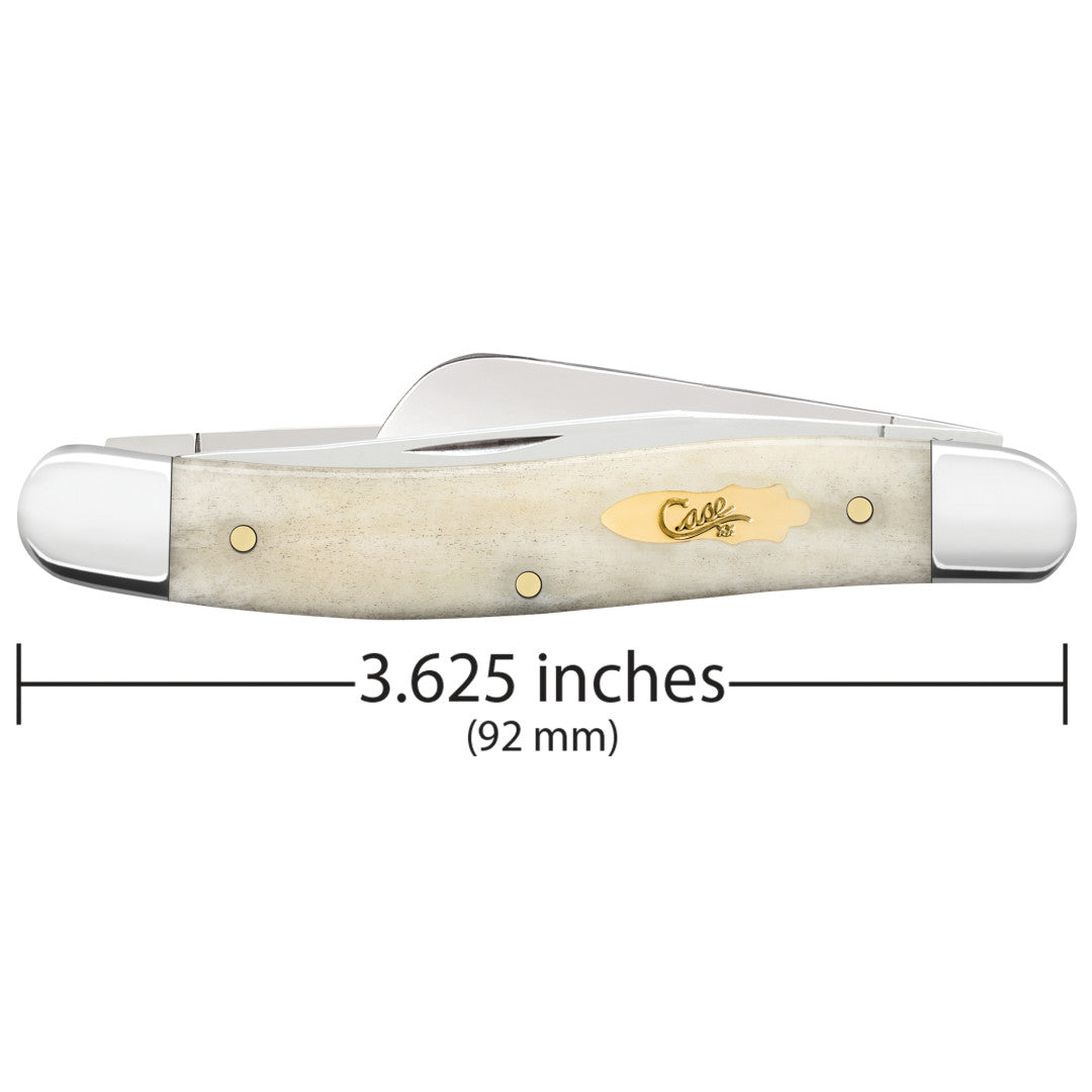 Smooth Natural Bone Medium Stockman - Brass Bomb Shield Dimensions