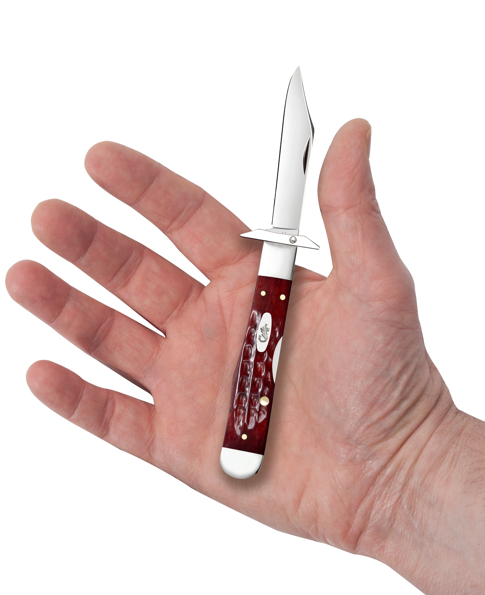 Vault - Pocket Worn® Corn Cob Jigged Old Red Bone Cheetah® Cub in Hand