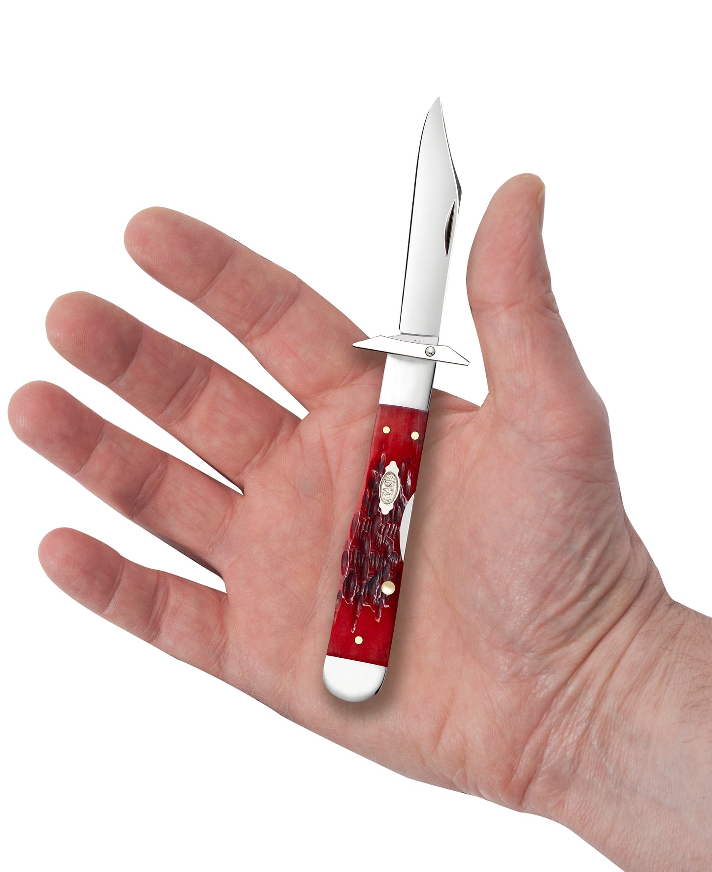 Peach Seed Jigged Dark Red Bone CS Cheetah® Cub in Hand