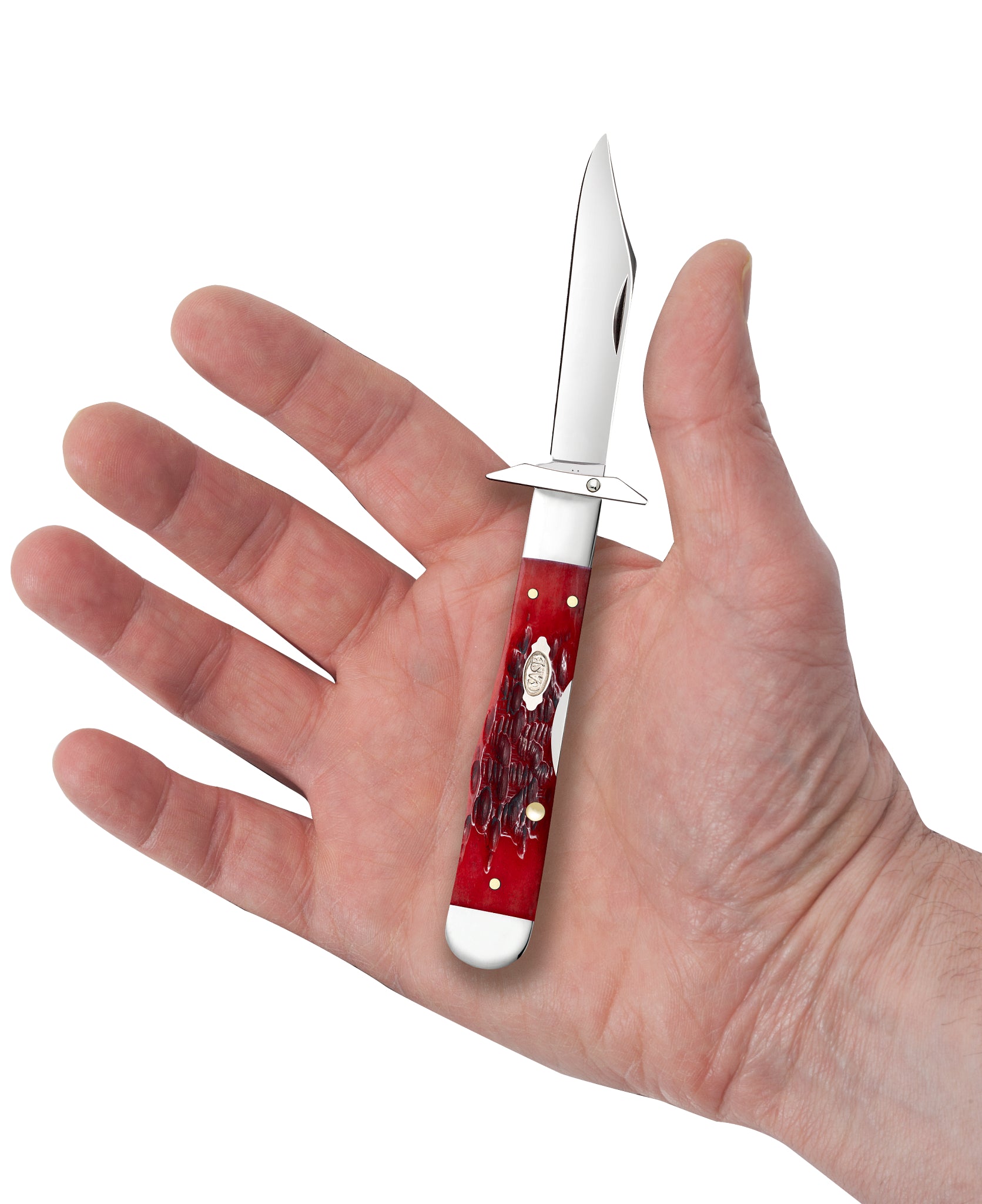 Peach Seed Jigged Dark Red Bone CS Cheetah® Cub in Hand