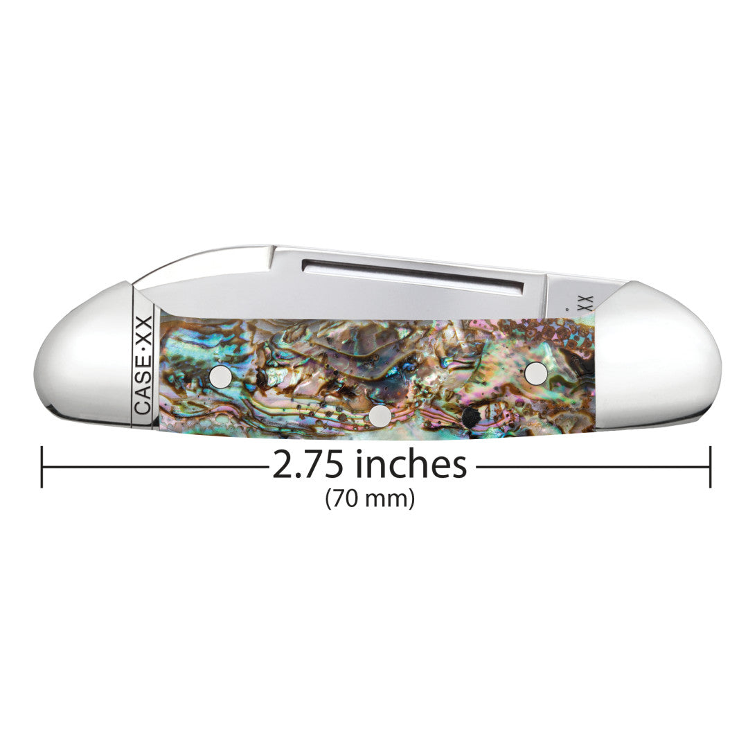 Smooth Abalone Baby Butterbean Dimensions