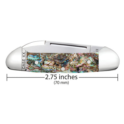 Smooth Abalone Baby Butterbean Dimensions