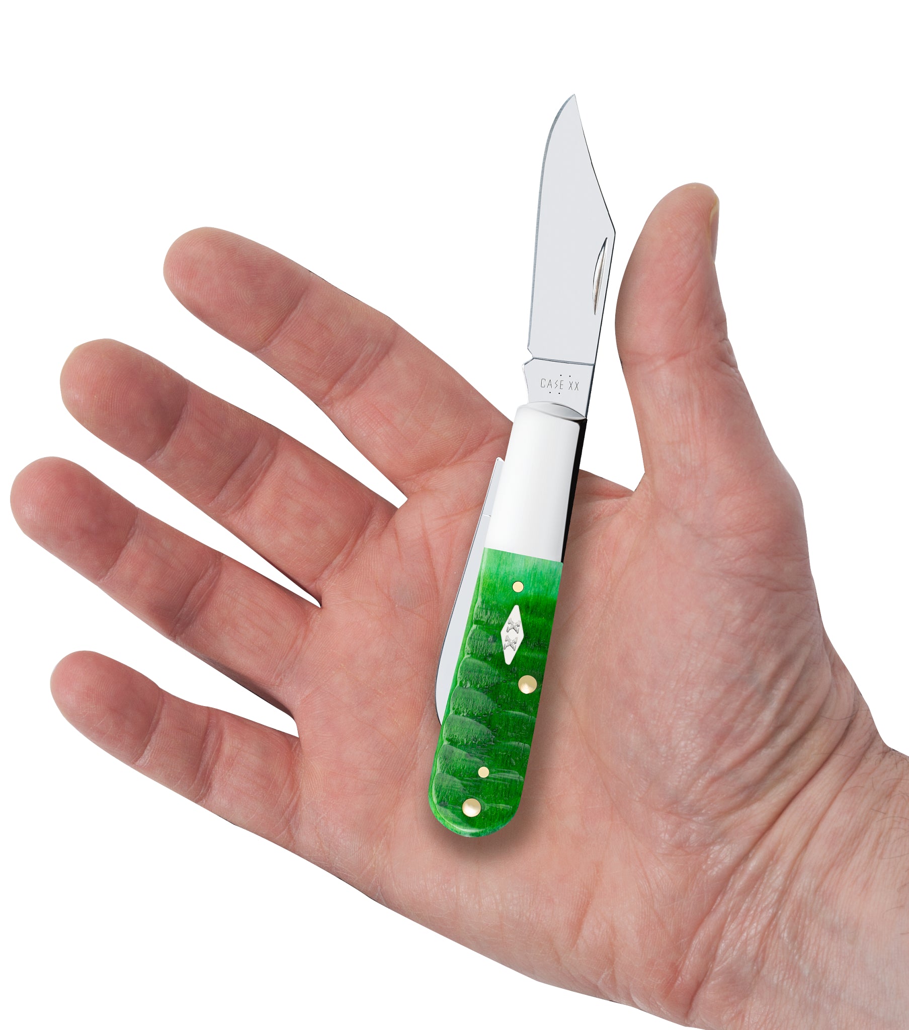 Gator Jigged Bright Green Bone Barlow in Hand