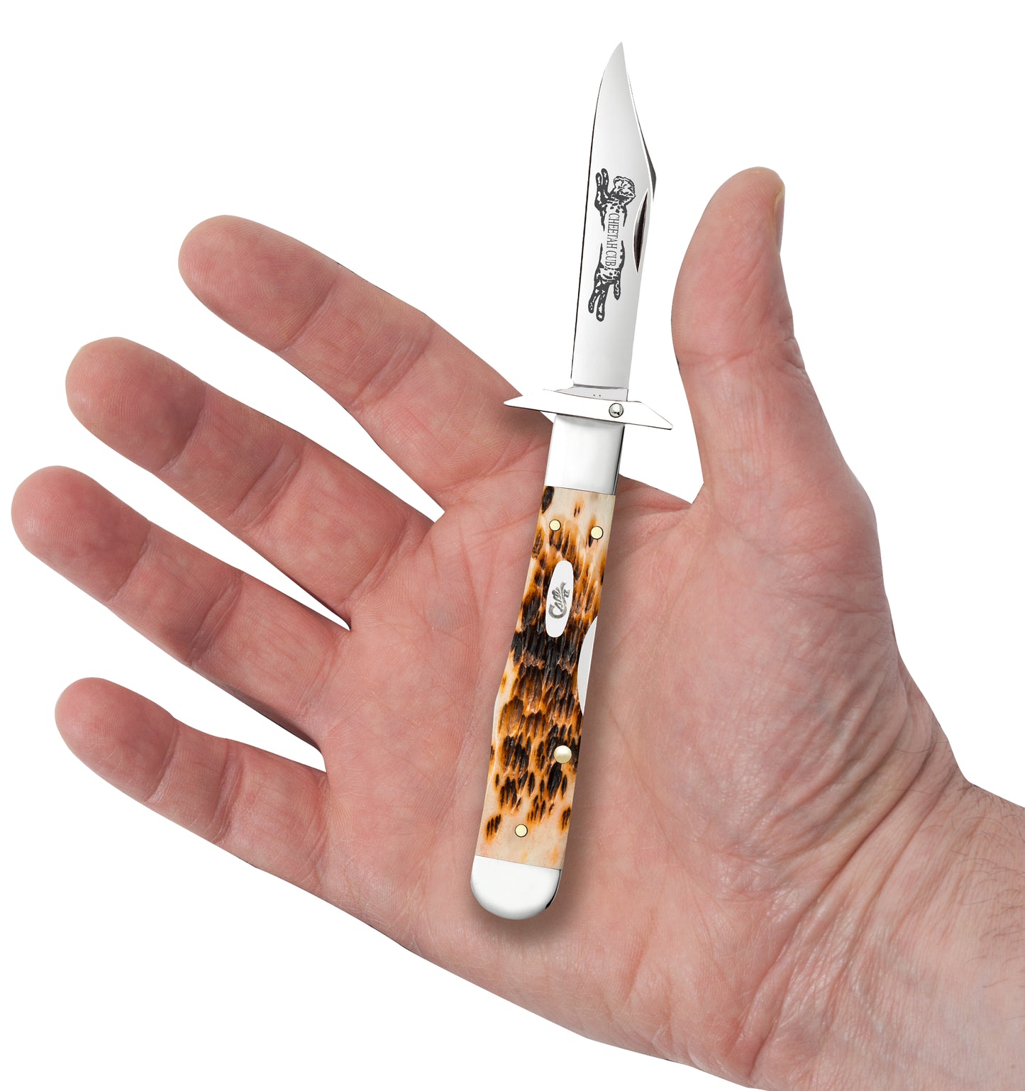 Vault - Peach Seed Jigged Amber Bone SS Cheetah® Cub in Hand