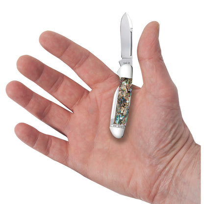 Smooth Abalone Baby Butterbean in Hand