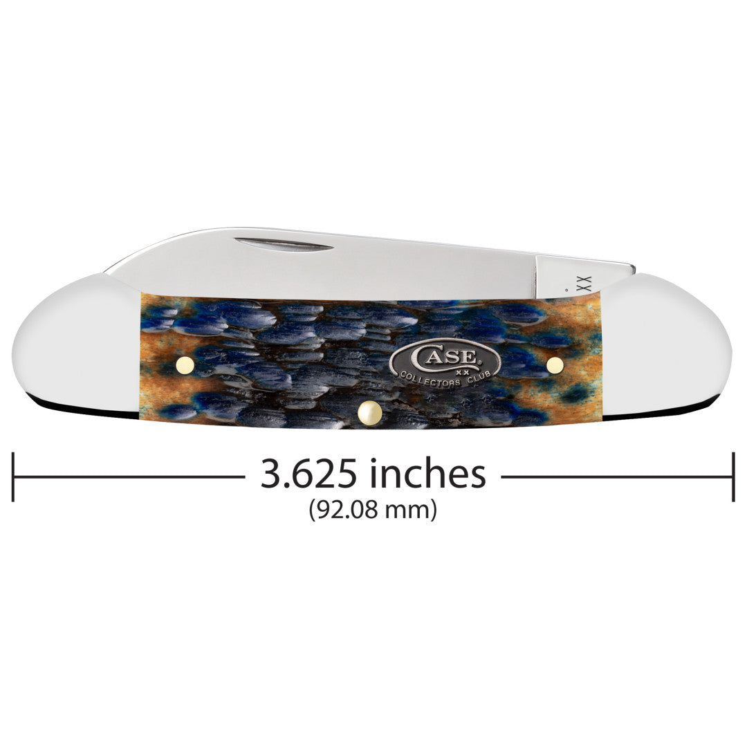 CCC® Blueberry Cobbler Bone Canoe
Dimensions