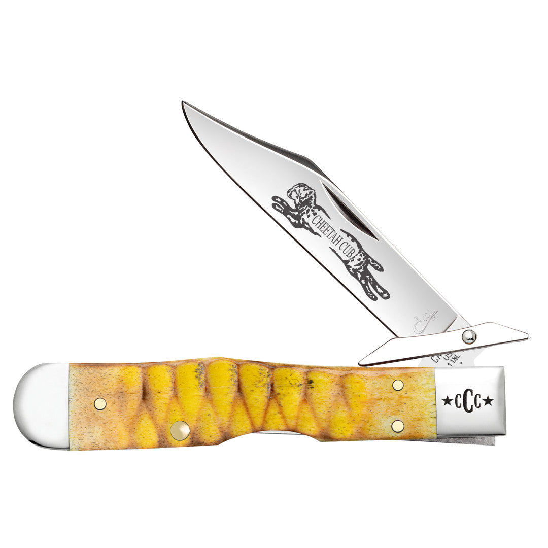 Front view of CCC® Bumblebee Bone Cheetah® Cub