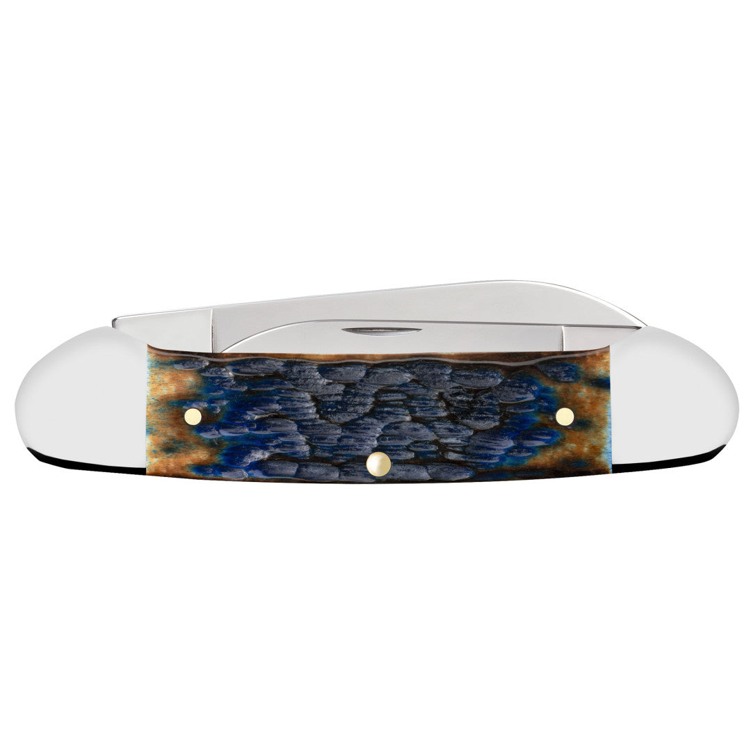 CCC® Blueberry Cobbler Bone Canoe
Back View