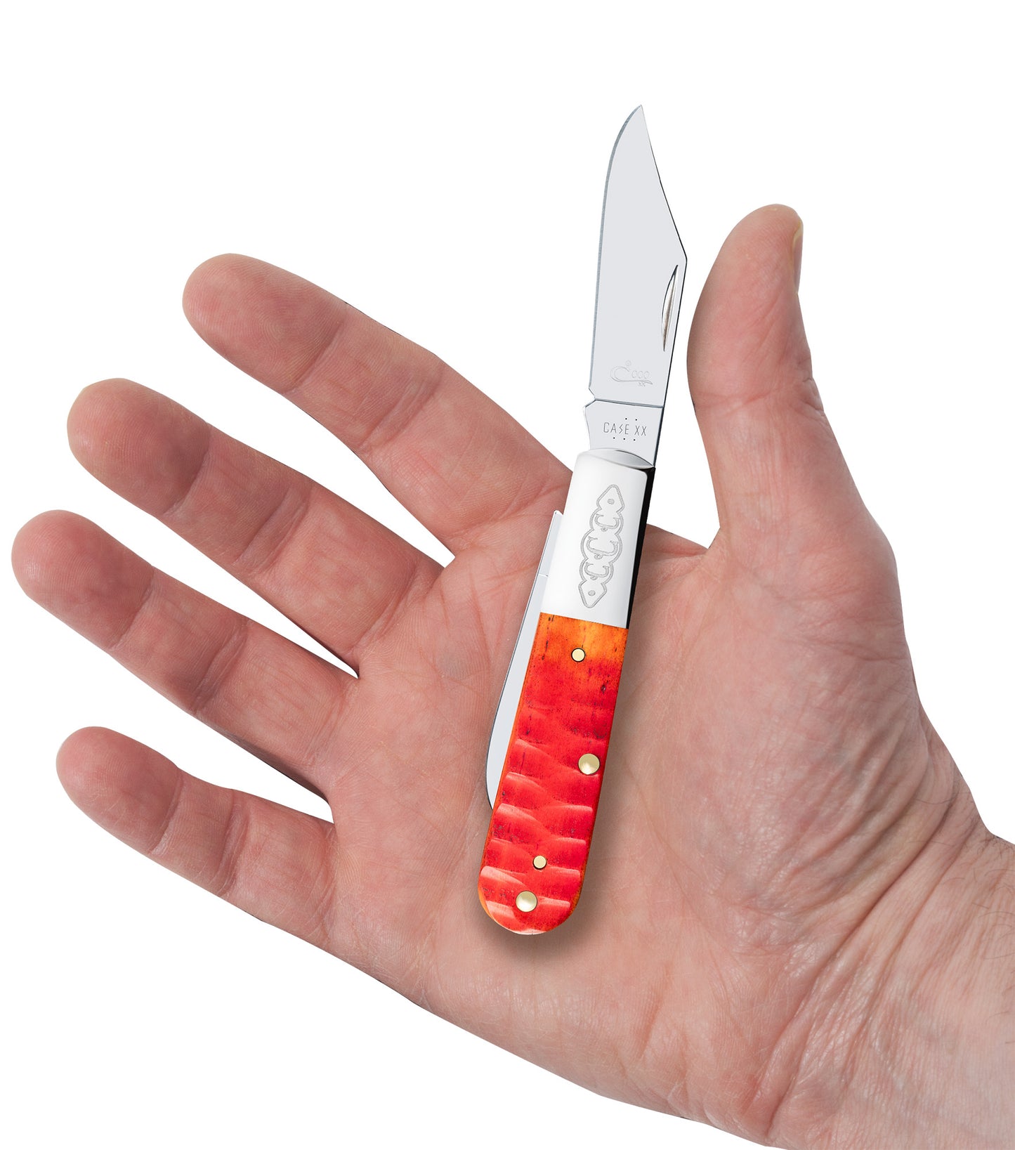 CCC® Gator Jig Indian Paintbrush Bone Barlow
in Hand