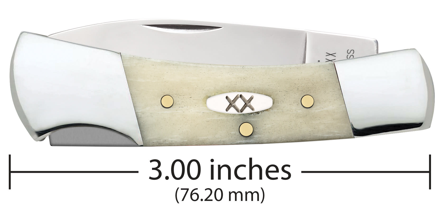 Smooth Natural Bone Lockback Dimensions