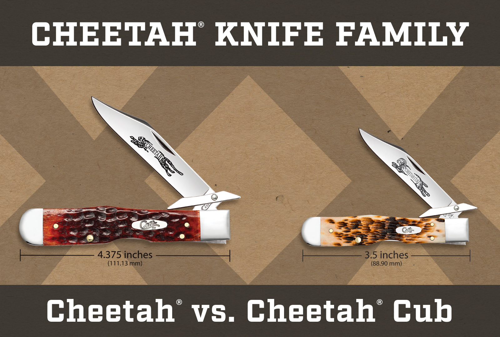 Size comparison between Cheetah and Cheetah Cub shown with blade partially open.
